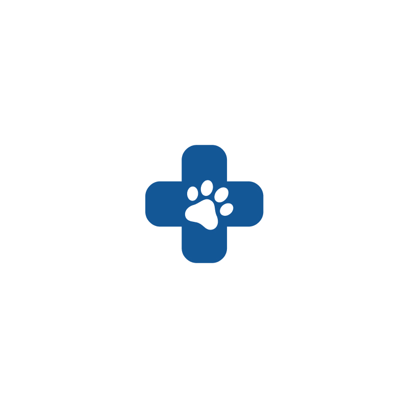 RLT-24S Veterinary Laser Therapy inklusive Chirurgielaser