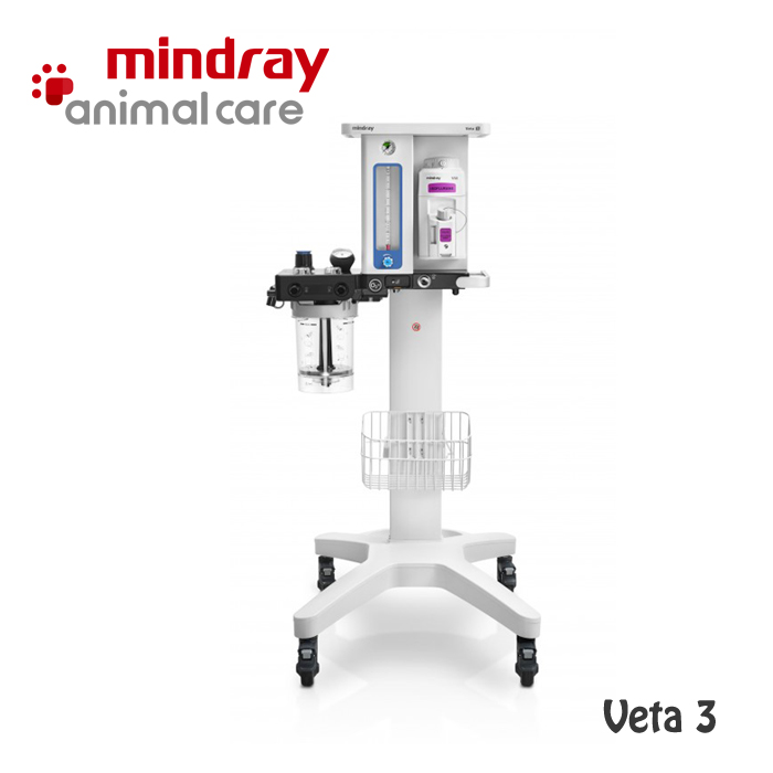 VETA 3