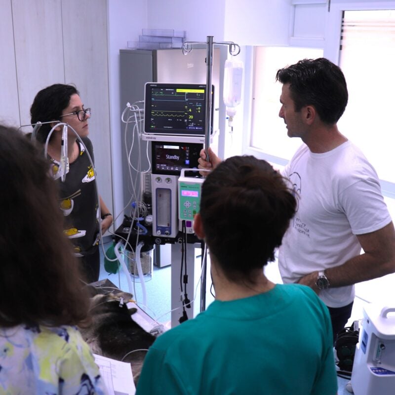 Peter unterrichtet 2