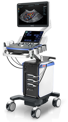 Vetus 7